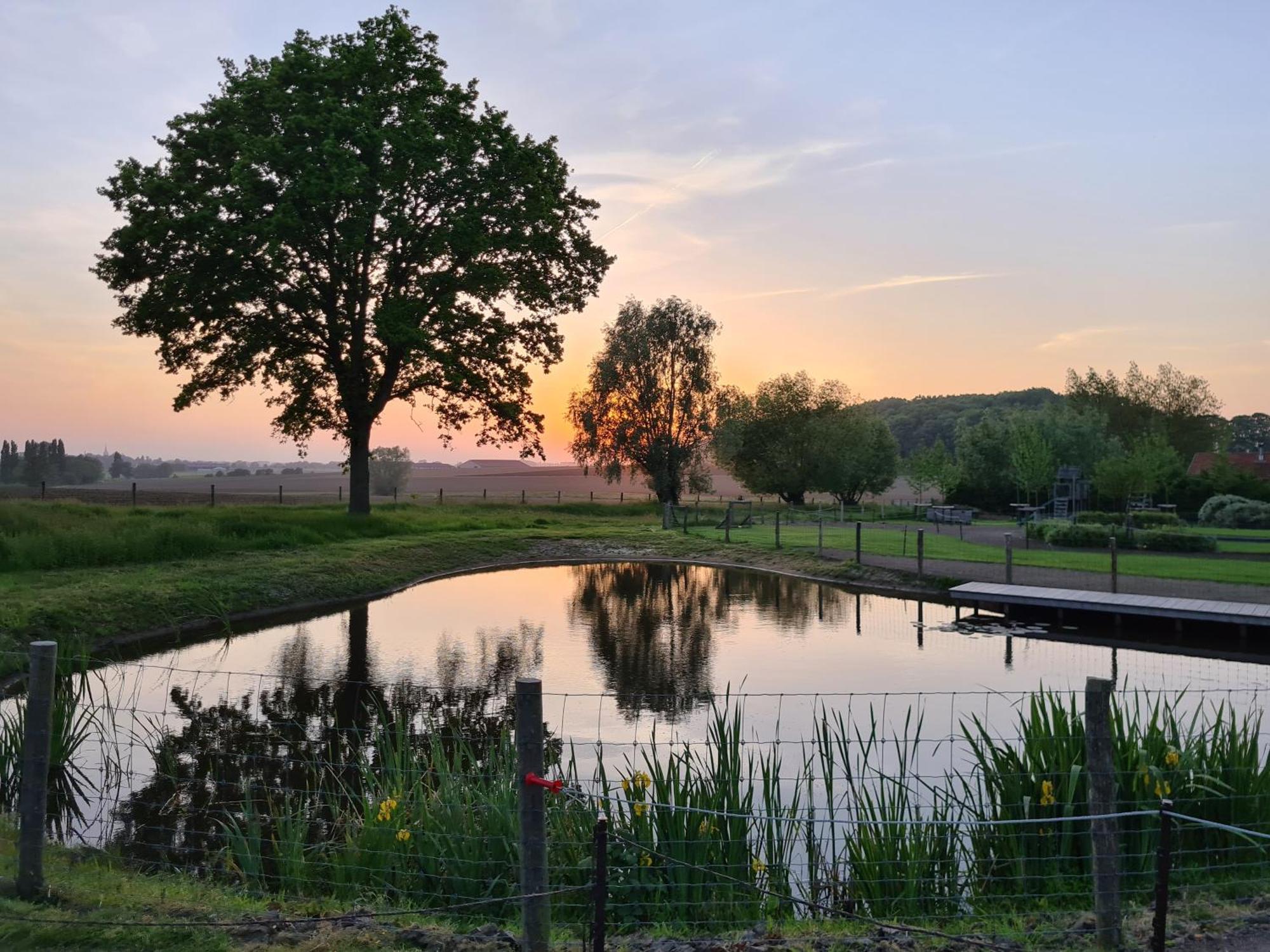 Cottage De Vinck Ypres Exterior foto